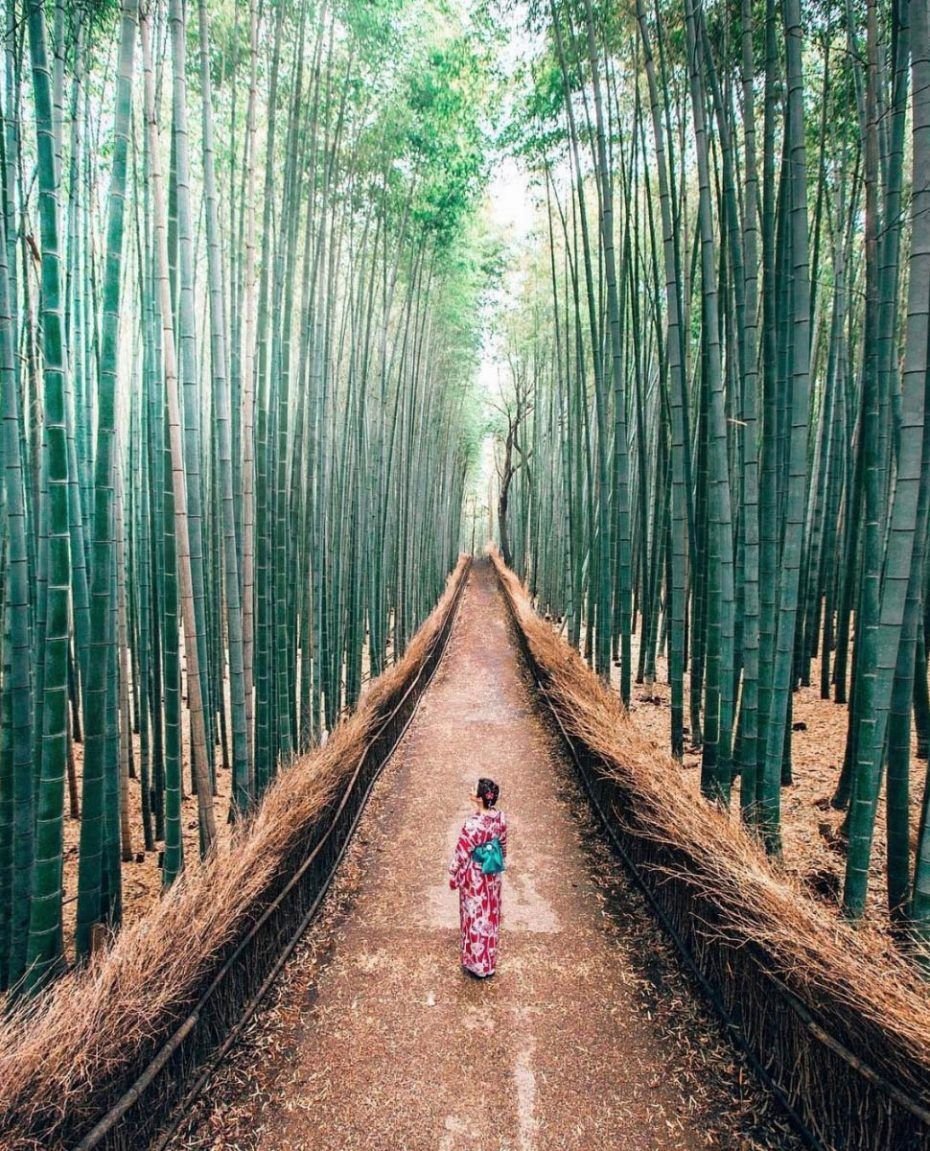 Бамбуковый лес Сагано сувениры