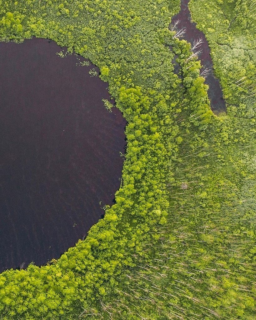 Озеро бездонное озеро Солнечногорск