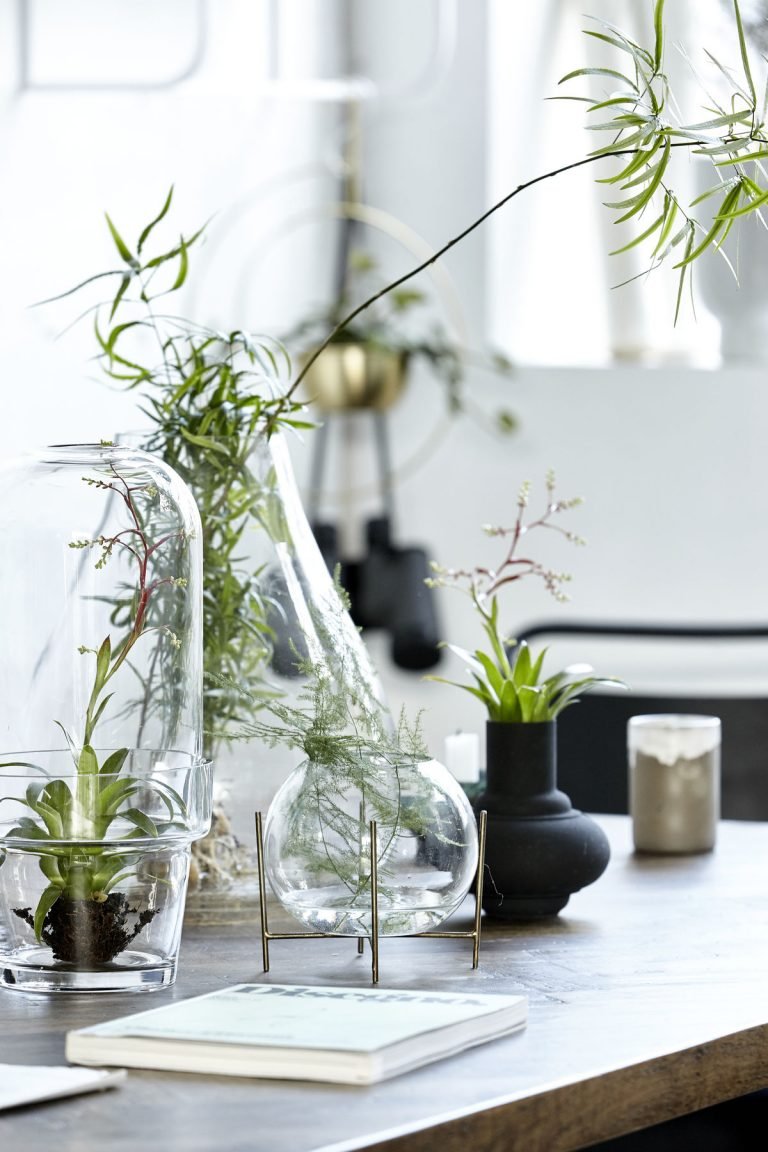 Инстаграм Plants за стеклом