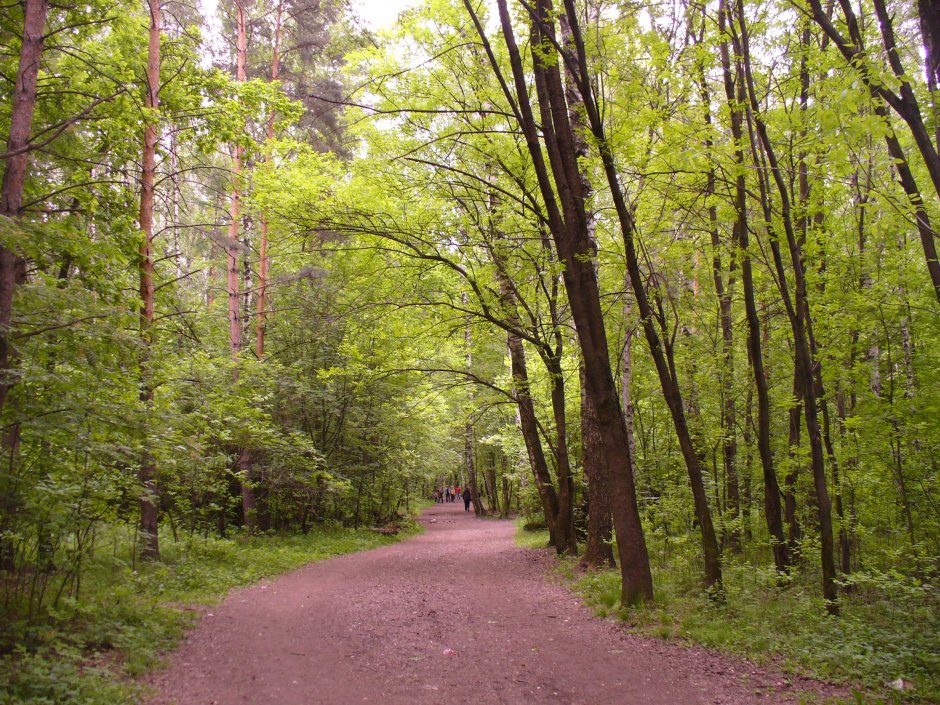 Салтыковский лесопарк Москва
