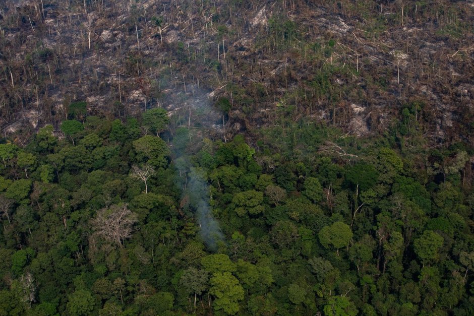 Основной район тропических лесов Амазонии в Бразилии