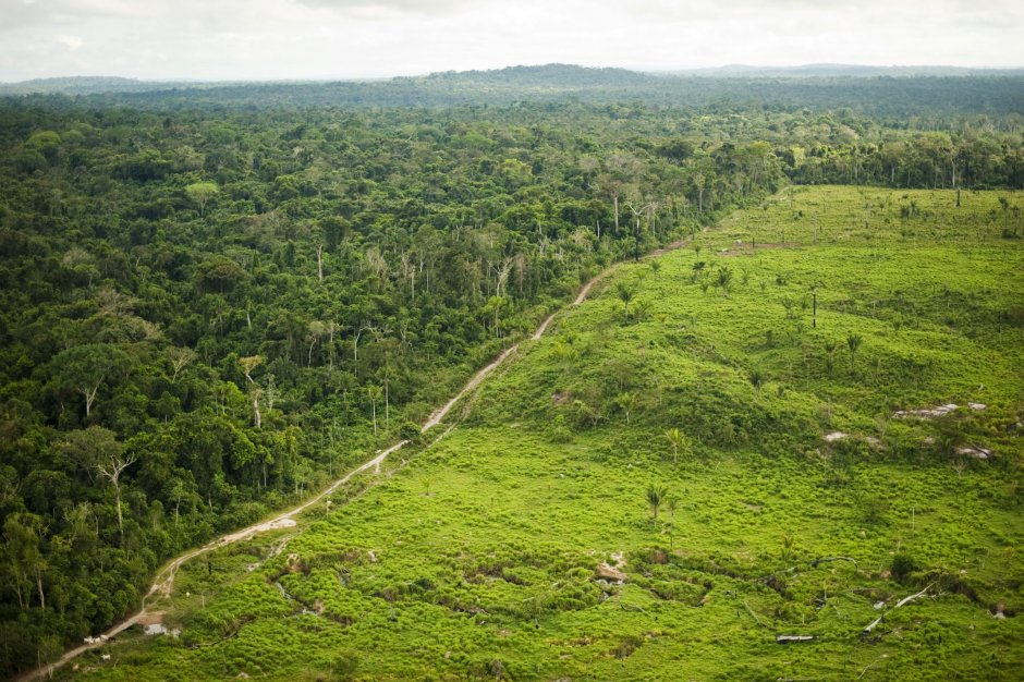 Дождевые леса в Венесуэле