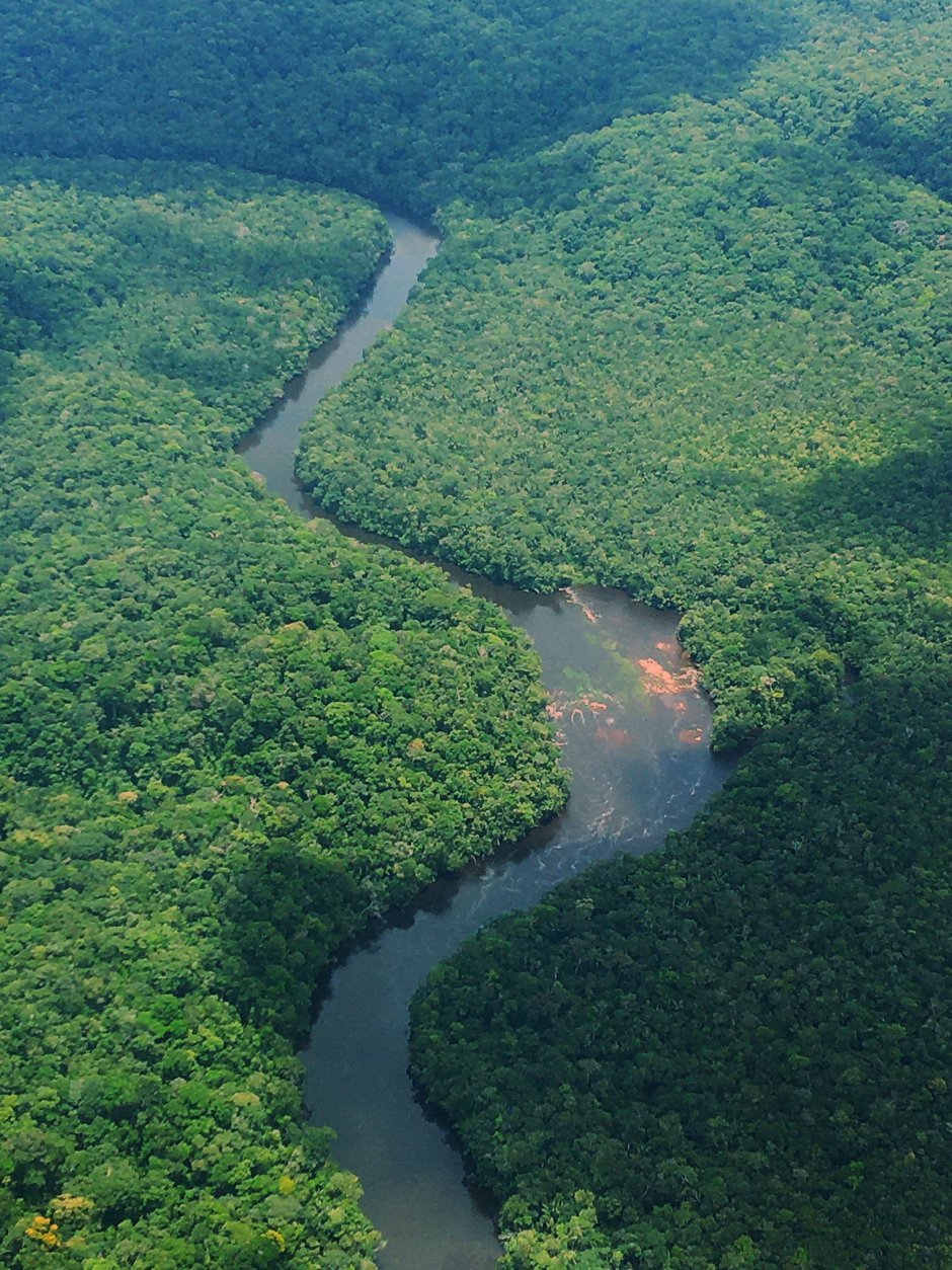 Эквадор Амазония