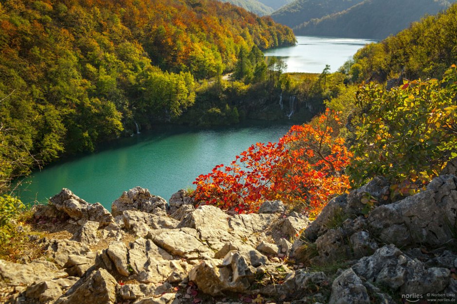Хорватия природа осень