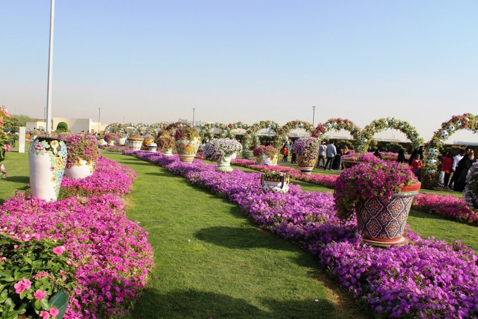 Абу Даби парк цветов