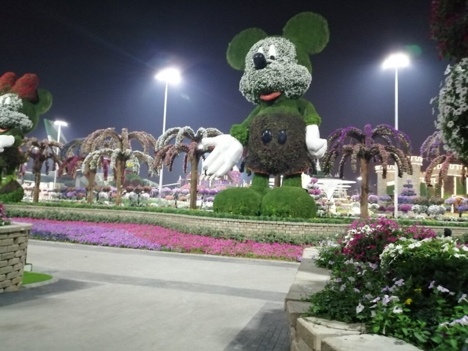 Экскурсия в Дубае в парк цветов