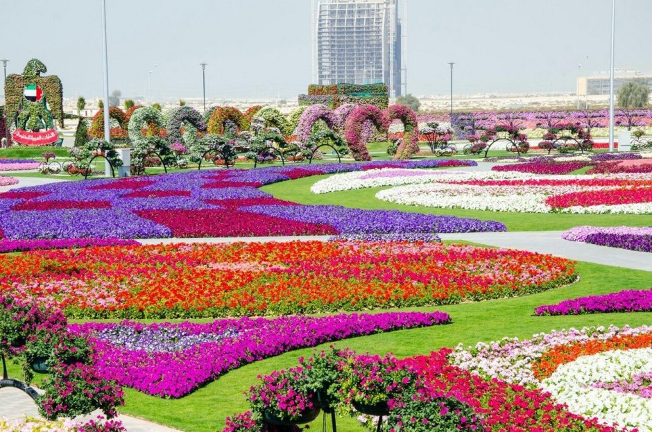 Сад в Дубае Миракл Гарден