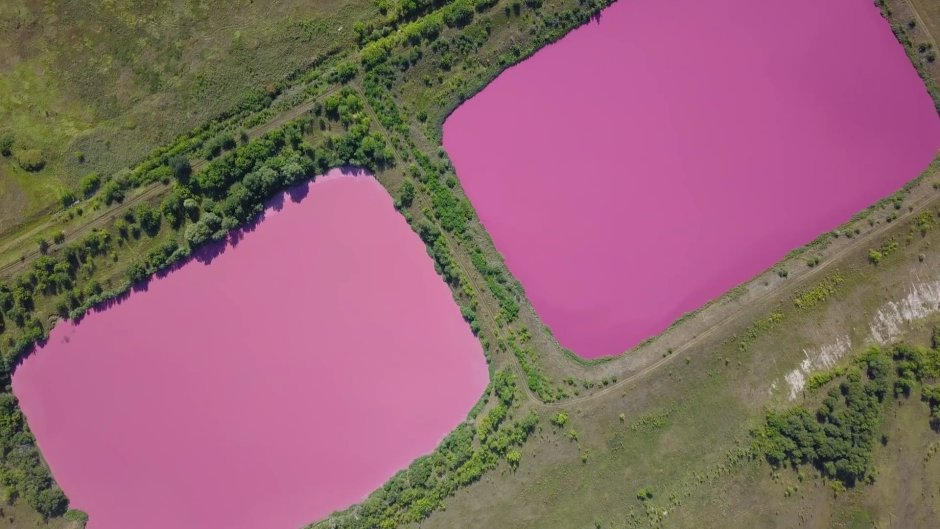 Розовое озеро Самарская область