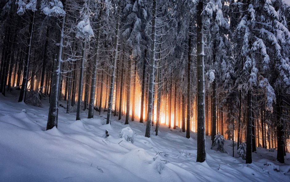 Чёрный лес Шварцвальд зима
