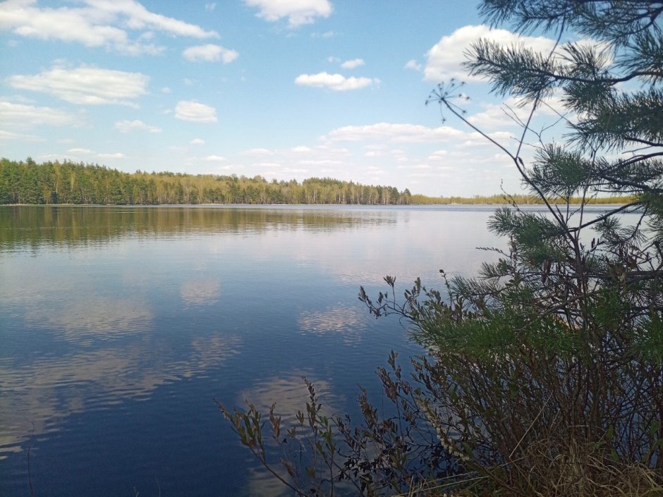 Ласковское озеро Рязань