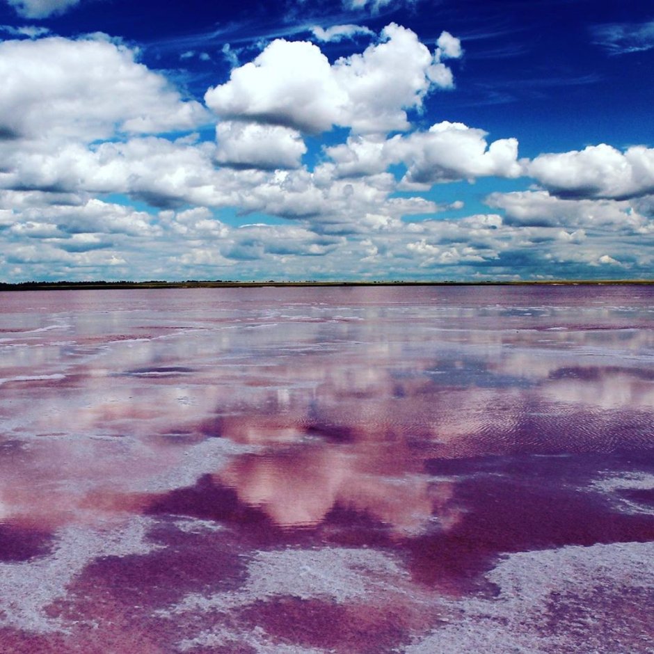 Розовое озеро Павлодар