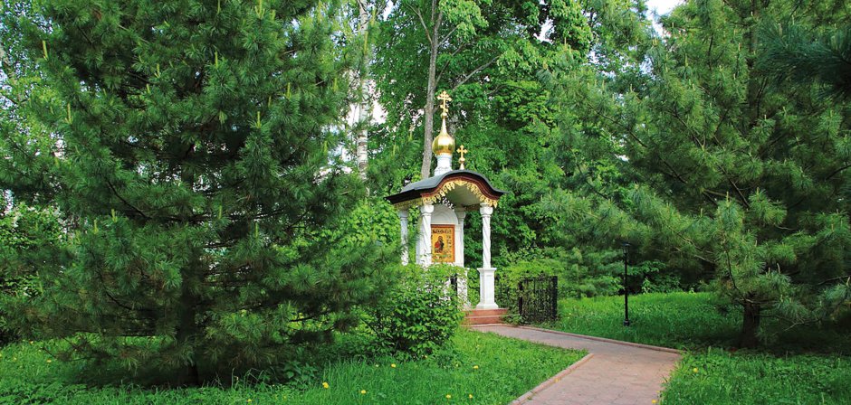 Кедровая роща Толгский монастырь Ярославль