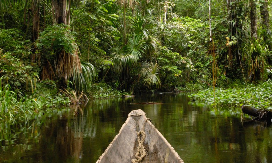 Национальный парк Бразилии Амазония