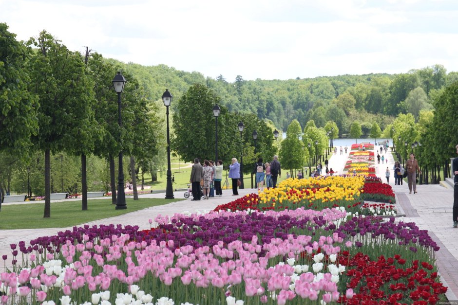 Парк Царицыно цветы