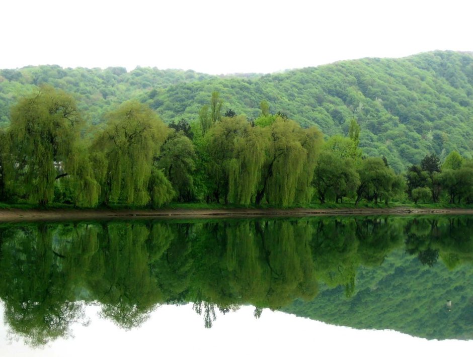 Нальчик Атажукинский парк озеро