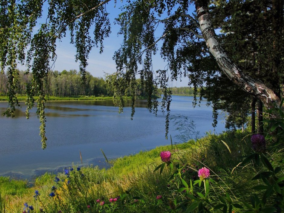 Озеро Березка Нижегородская