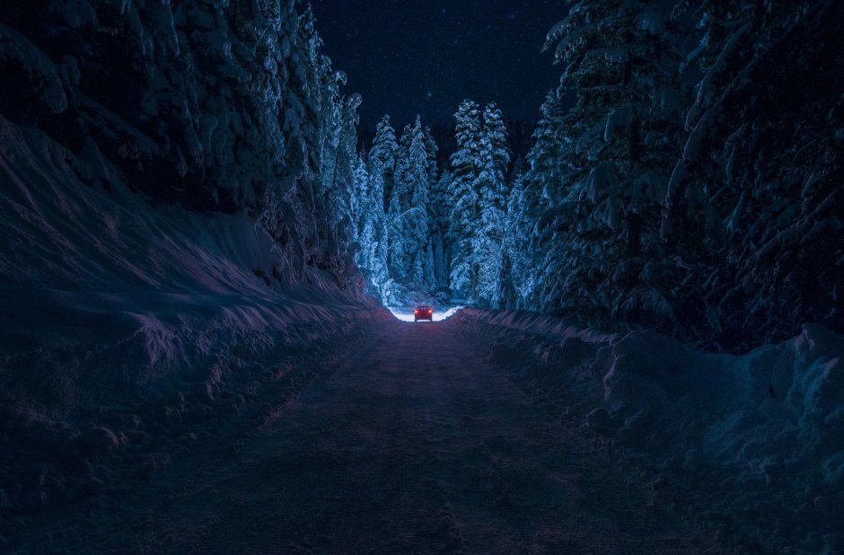 Заснеженный лес ночью