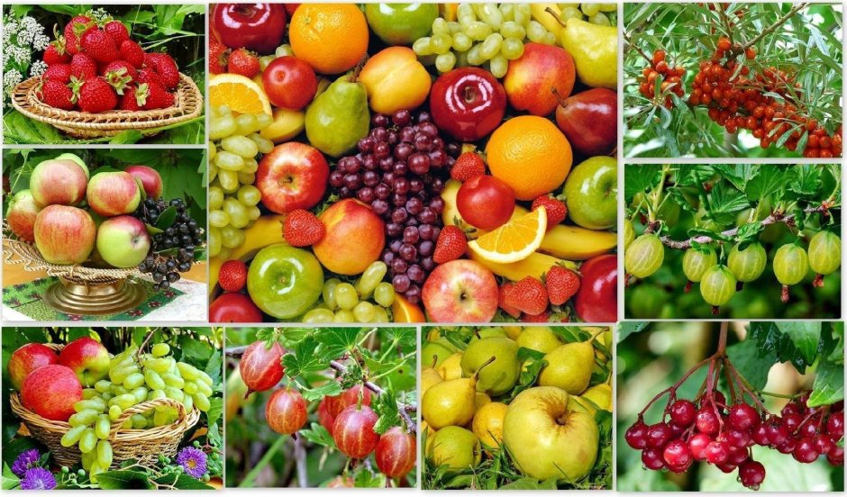 Плодово ягодные растения