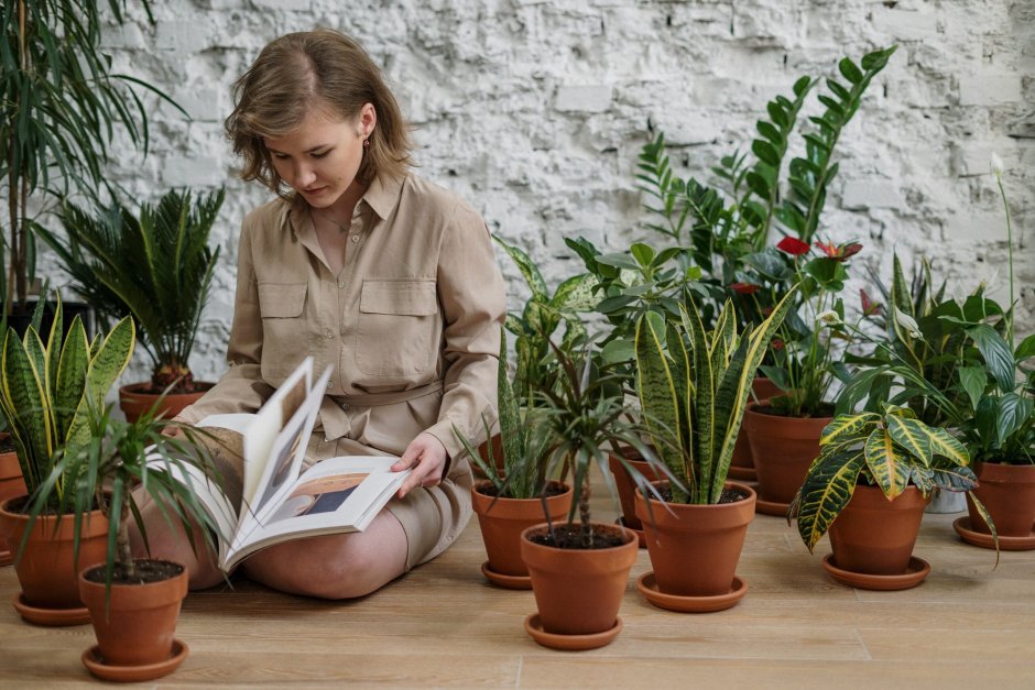 Девушка с комнатными растениями