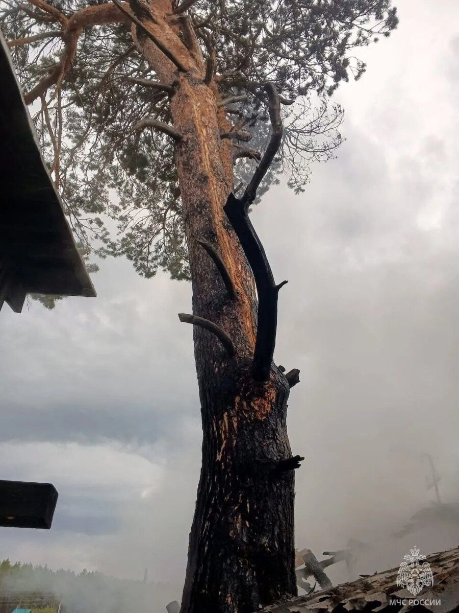 Горящее дерево с молнией