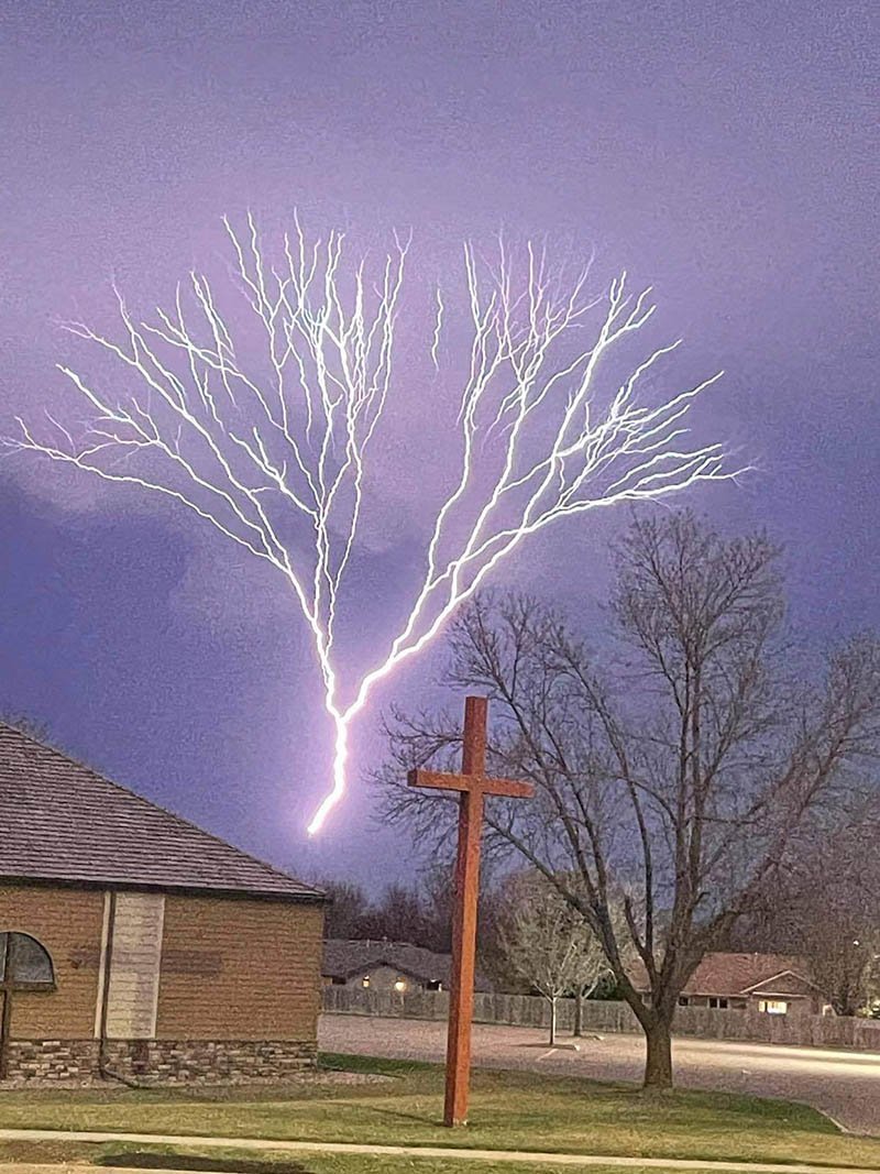 Молния в виде дерева