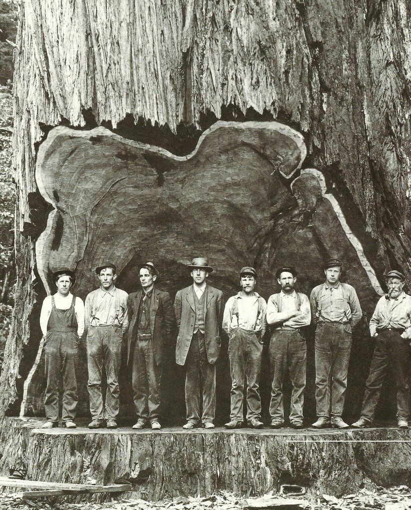 Лесорубы США 19 век
