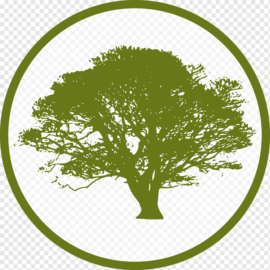 Дерево пиктограмма