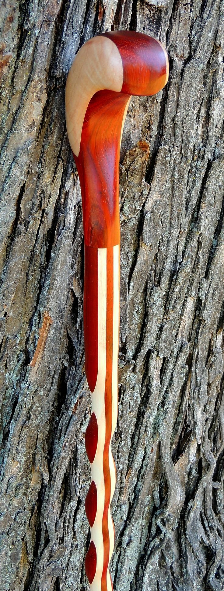 Африканский Падук дерево