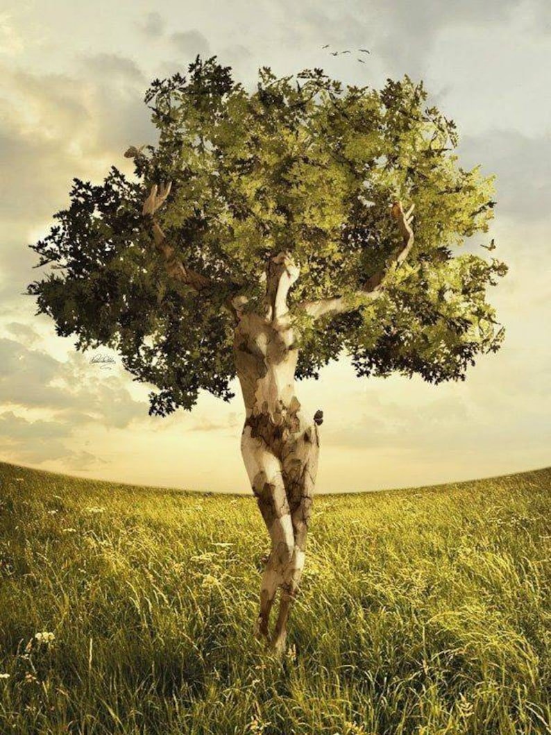 Дерево в виде человека