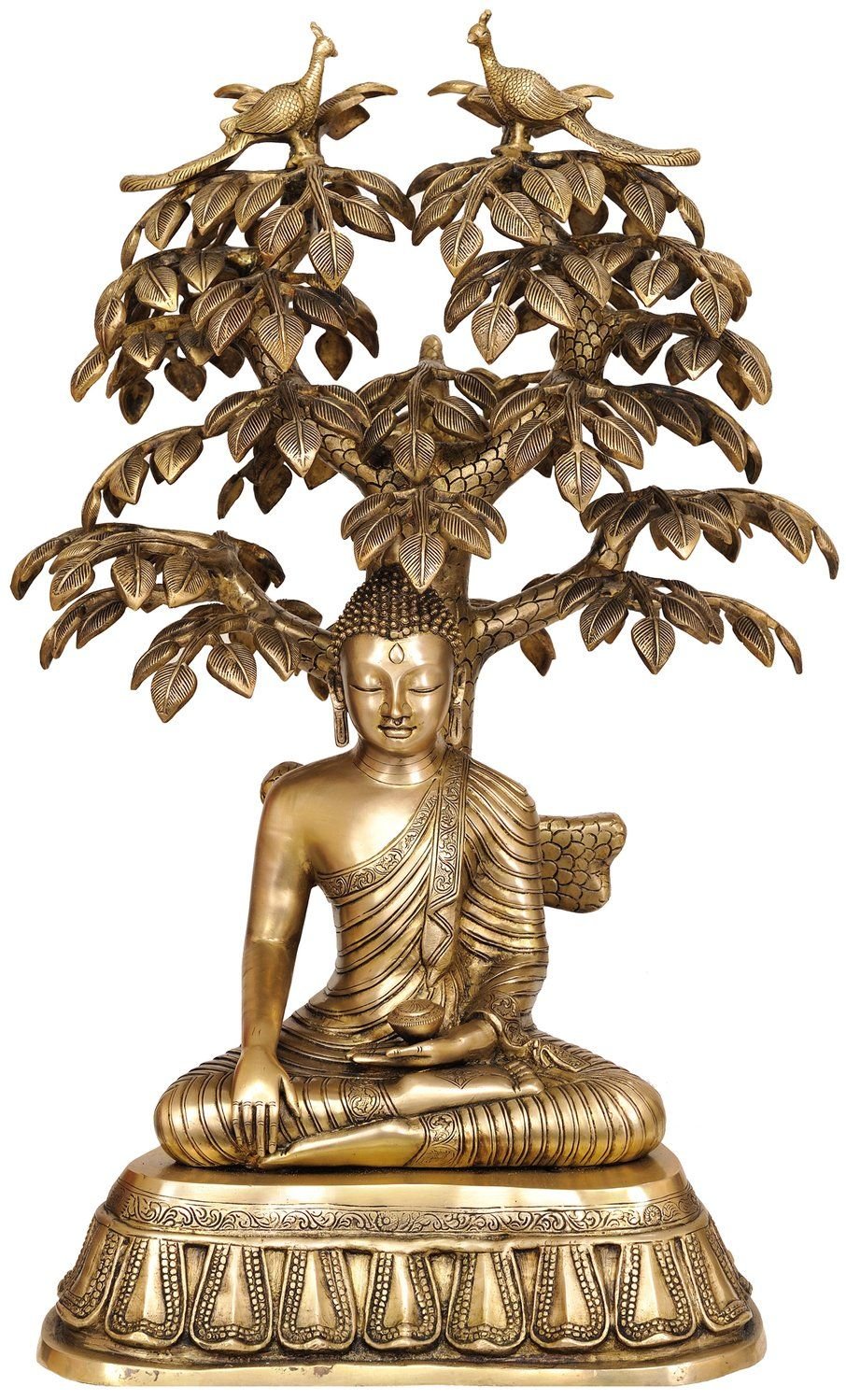 Бодхи символ буддизма
