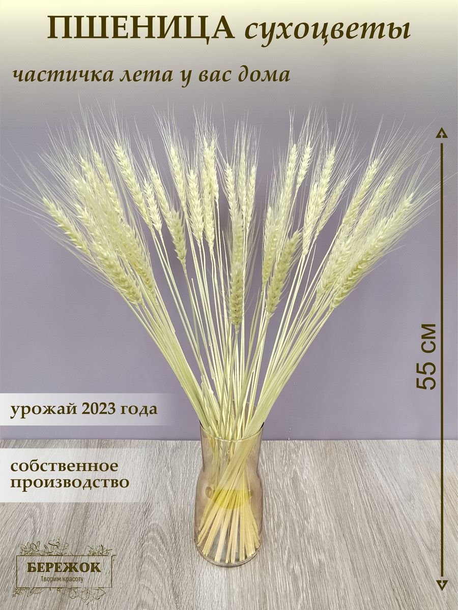 Цветок пшеницы