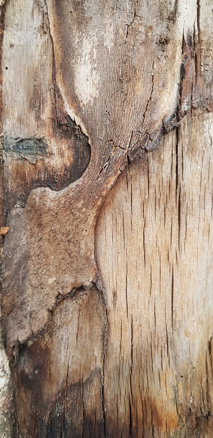 Маска из коры дерева