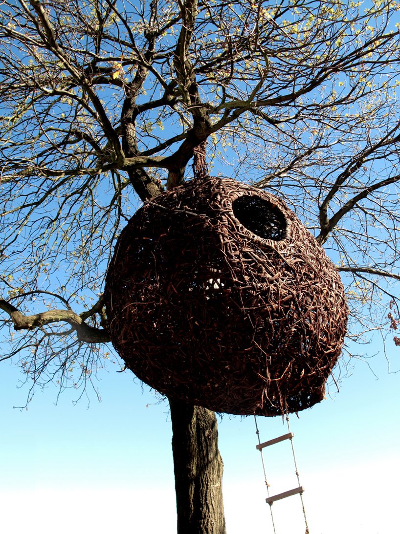 Необычное гнездо