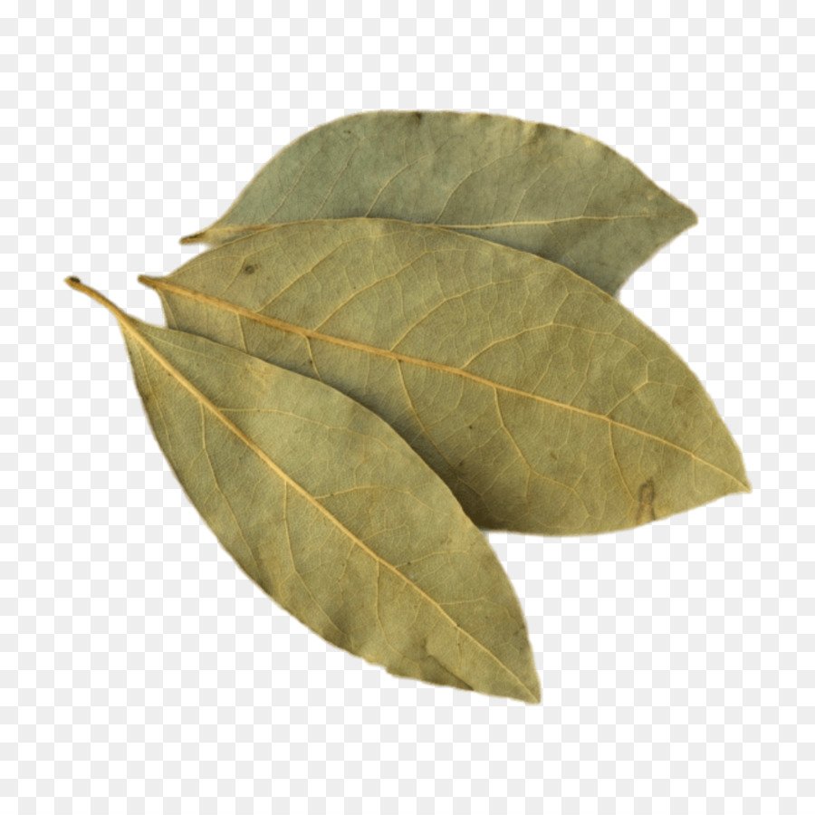 Листья Лавра