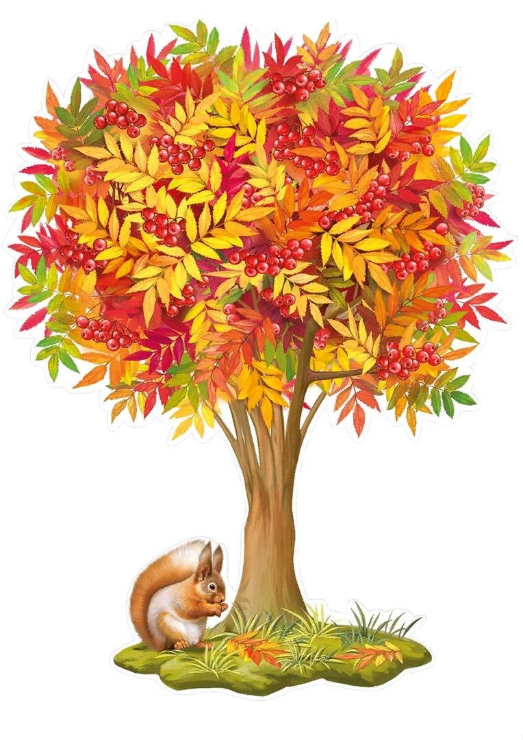 Деревья осенью в детском саду