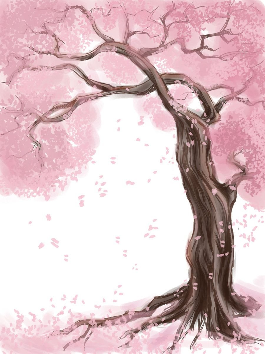 Дерево Сакура рисунок