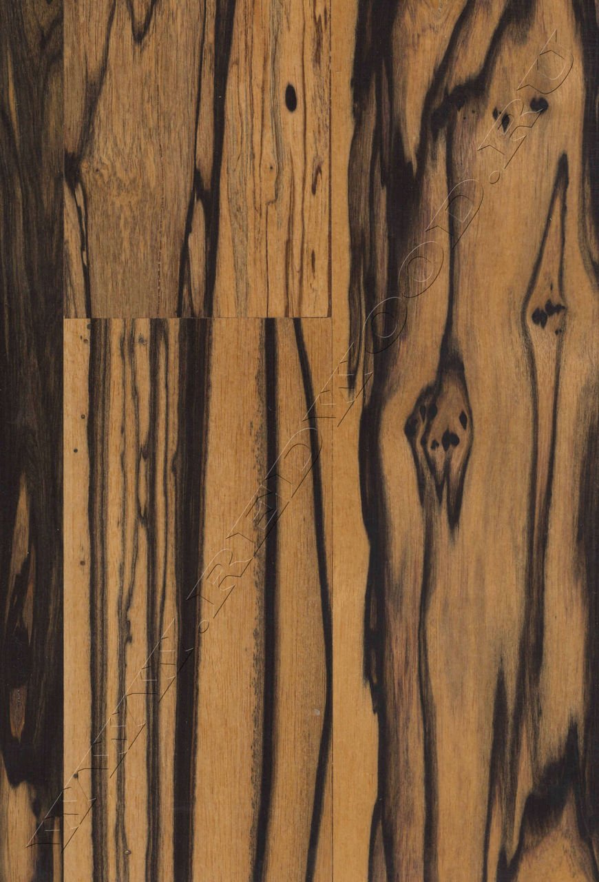 Экзотическая древесина