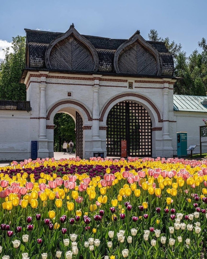 Дьяковский сад в Коломенском