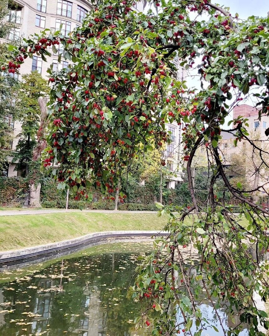 Ботанический сад Сицилия