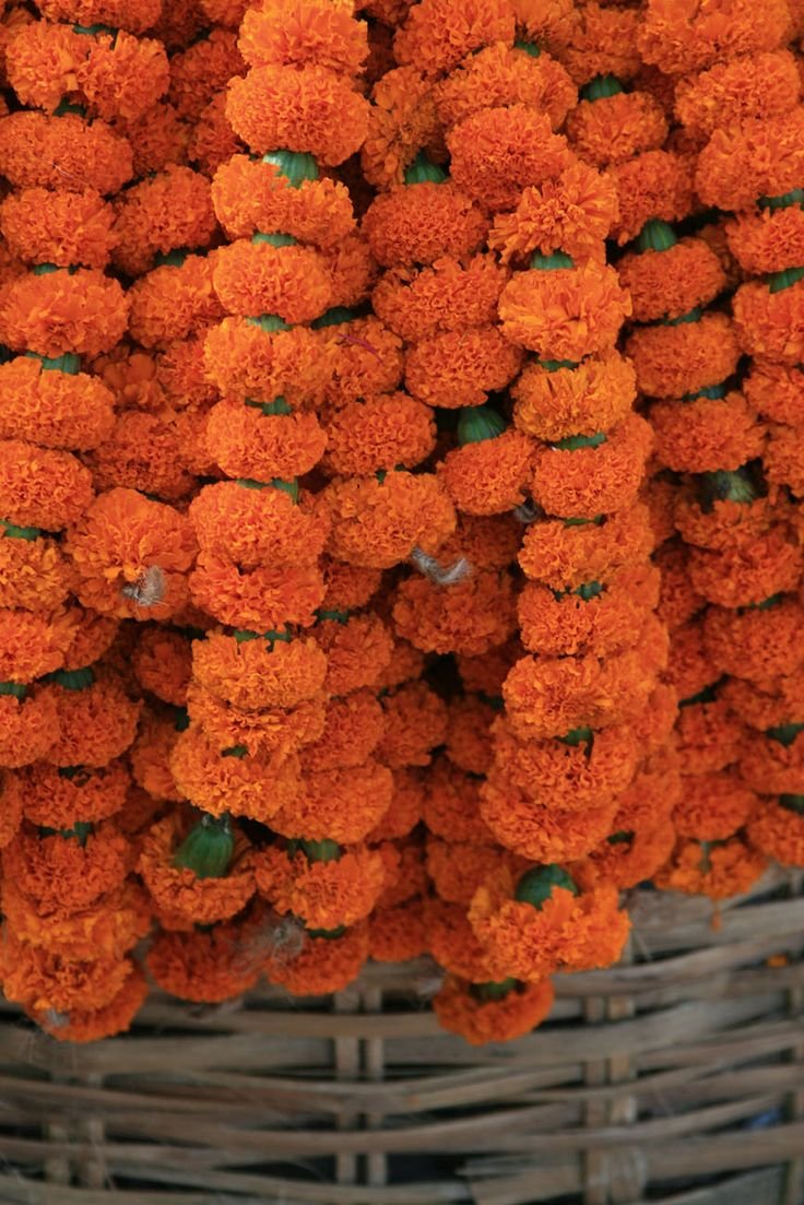 Индийские гирлянды из цветов
