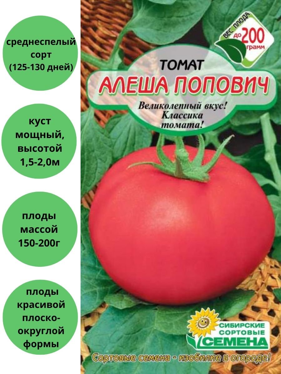 Алеша Попович сорт помидор