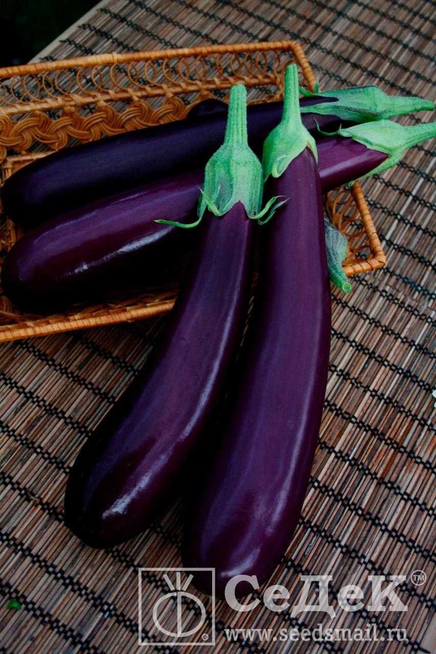 Баклажан длинный фиолетовый Гавриш