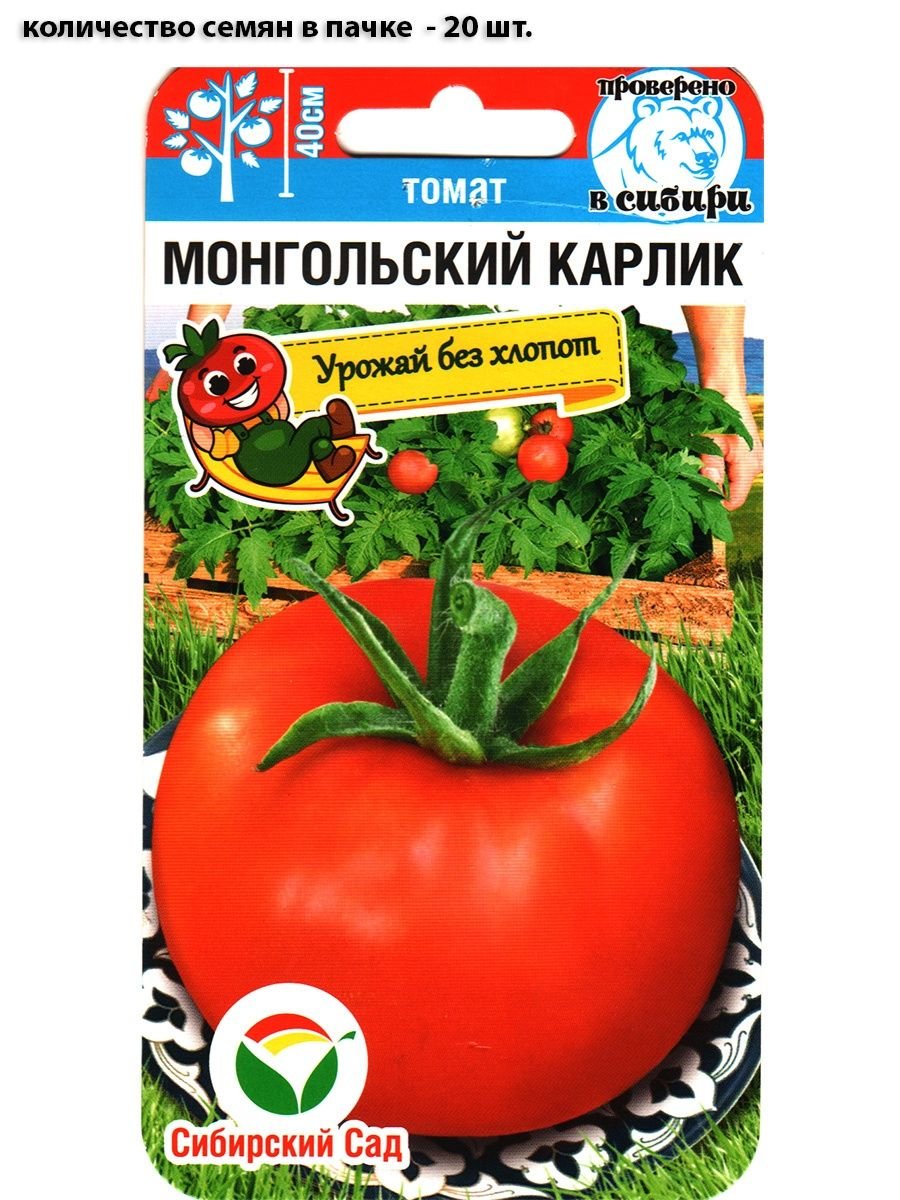 Монгольский томат карлик томат