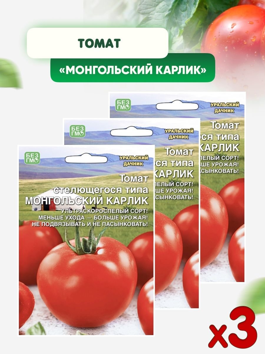 Уральский Дачник томат монгольский карлик стелющегося типа, 20 шт