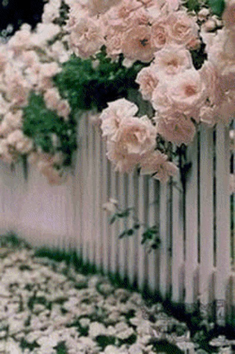 Красивый белый забор