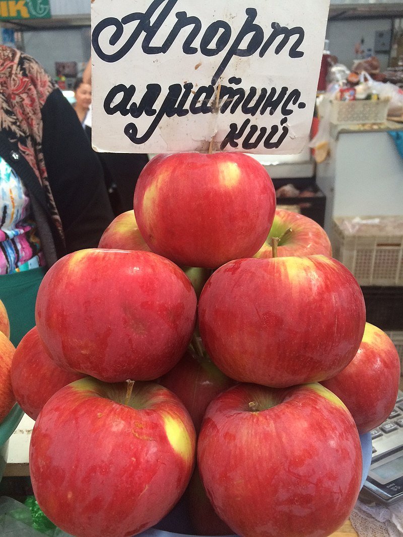 Алматинский Апорт яблоки
