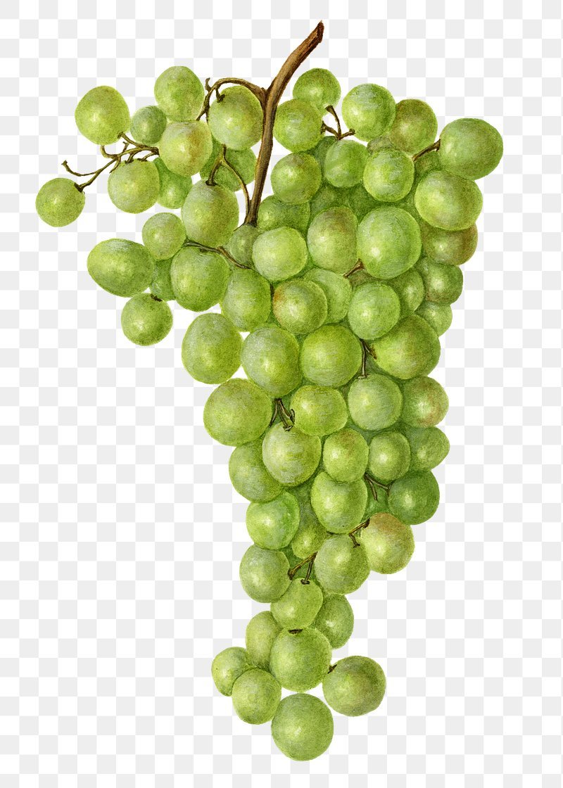 Виноград зеленый красками