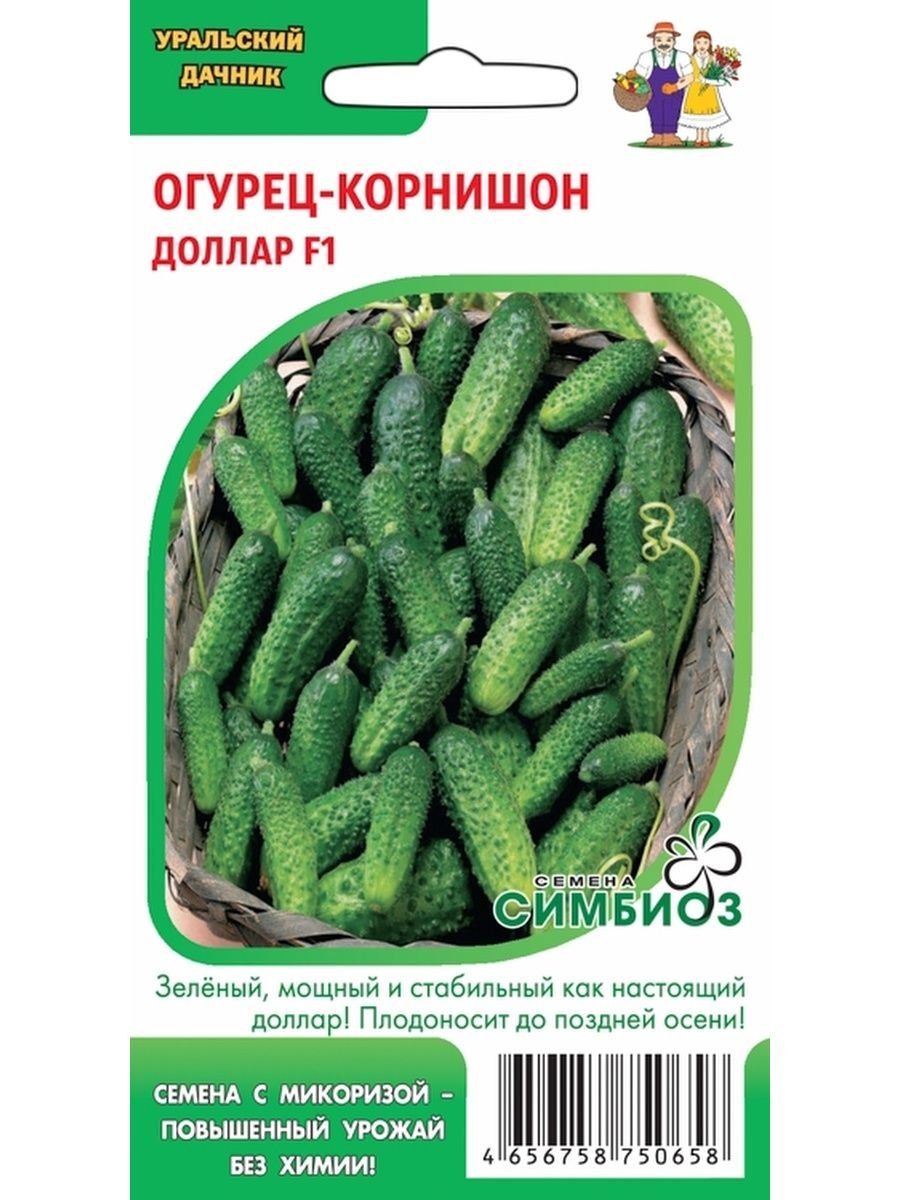 Семена огурец "Уральский Дачник" "мишка на севере", корнишон, f1, 12 шт.