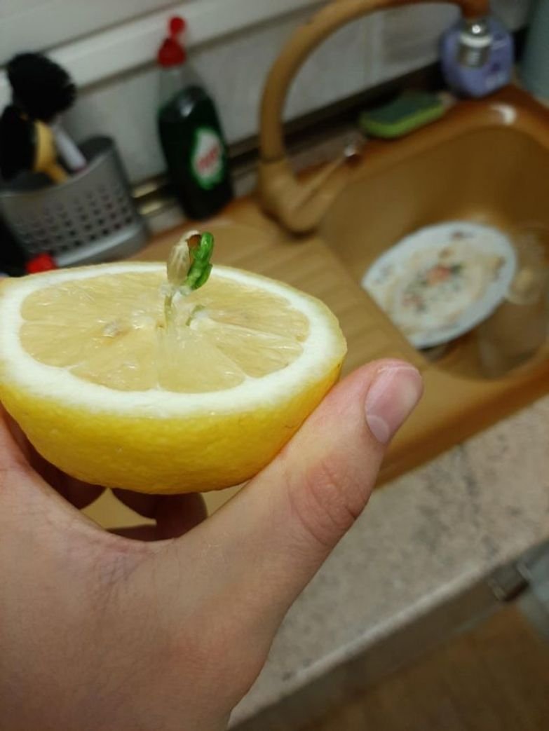 Лимон внутри
