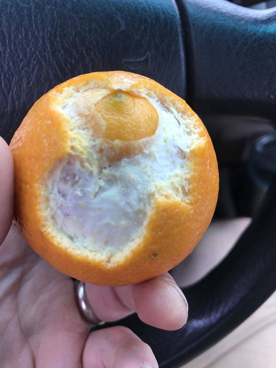 Подгнившие апельсины